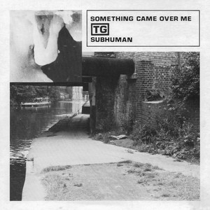 Subhuman / Something Came Over Me