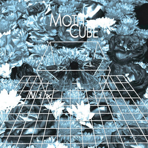 Moth Cube