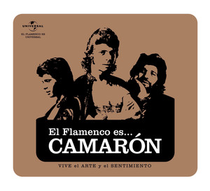 Flamenco Es... Camaron