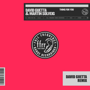 Thing For You (David Guetta Remix