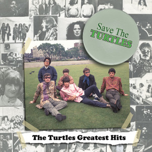 Save The Turtles:  The Turtles Gr