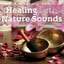 Healing with Nature Sounds