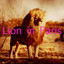 Lion in Paris