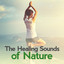 The Healing Sounds of Nature