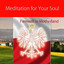 Meditation for Your Soul - Farewe