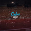 # 1 Album: Calm Rest