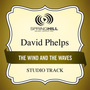 The Wind And The Waves (studio Tr