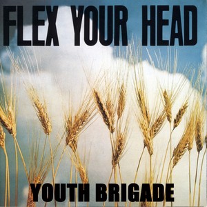 Flex Your Head