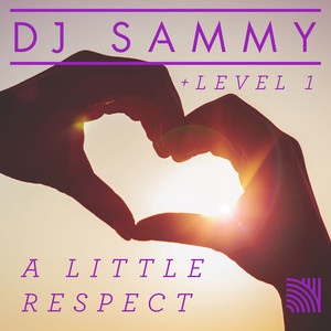 A Little Respect (Remixes)