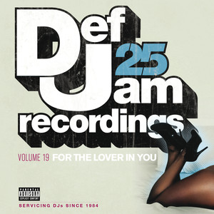 Def Jam 25, Vol. 19 - For The Lov