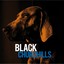 Black Churchills