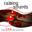 Calming Sounds for Spa Relaxation