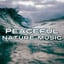 Peaceful Nature Music  Calm for 