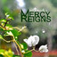 Mercy Reigns