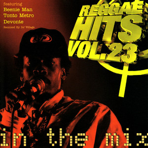 Reggae Hits Volume 23