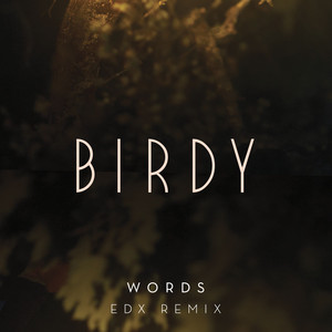 Words (EDX Remix)