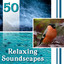 50 Relaxing Soundscapes: Natural 