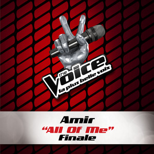 All Of Me - The Voice 3