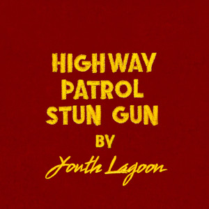 Highway Patrol Stun Gun