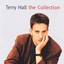 Terry Hall - The Collection