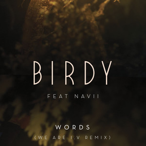 Words (We Are I.V Remix; feat. Na