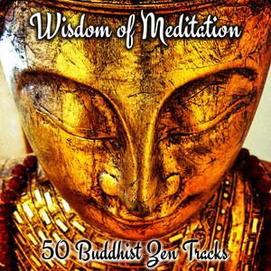 Wisdom of Meditation: 50 Buddhist