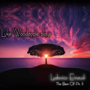 Luke Woodapple Plays Ludovico Ein