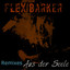 ..aus der Seele (Flex Music Remix