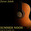 Summer Noon - Songs for the Guita