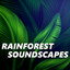Rainforest Soundscapes