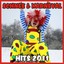 Schnee & Karneval Hits 2011