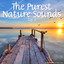 The Purest Nature Sounds - Top 8