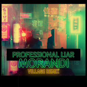 Professional Liar (Village Remix)