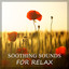 Soothing Sounds for Relax  Sound