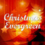 Christmas Evergreen