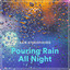 Pouring Rain All Night