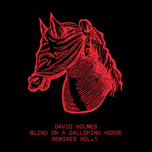 Blind On A Galloping Horse Remixe