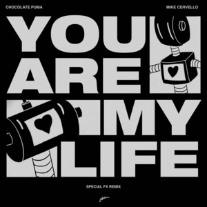 You Are My Life (Special FX Remix
