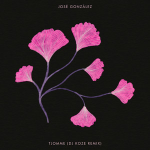Tjomme (DJ Koze Remix)