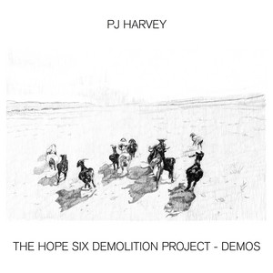 The Hope Six Demolition Project -