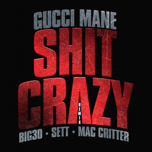 Shit Crazy Remix (feat. BIG30, Se