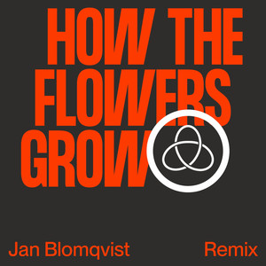 How The Flowers Grow (Jan Blomqvi