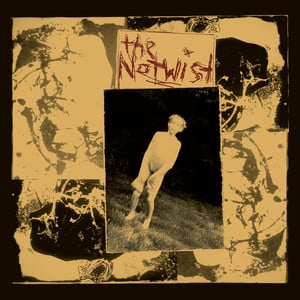 The Notwist (30 Year Anniversary 