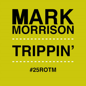 Trippin' (#25ROTM Mixes)