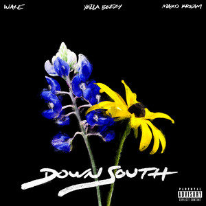 Down South (feat. Yella Beezy & M
