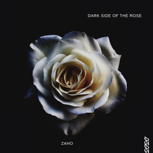 Dark rose