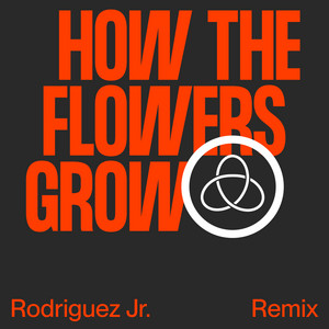 How The Flowers Grow (Rodriguez J