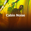 Cabin Noise