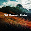 39 Forest Rain