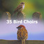 35 Bird Choirs